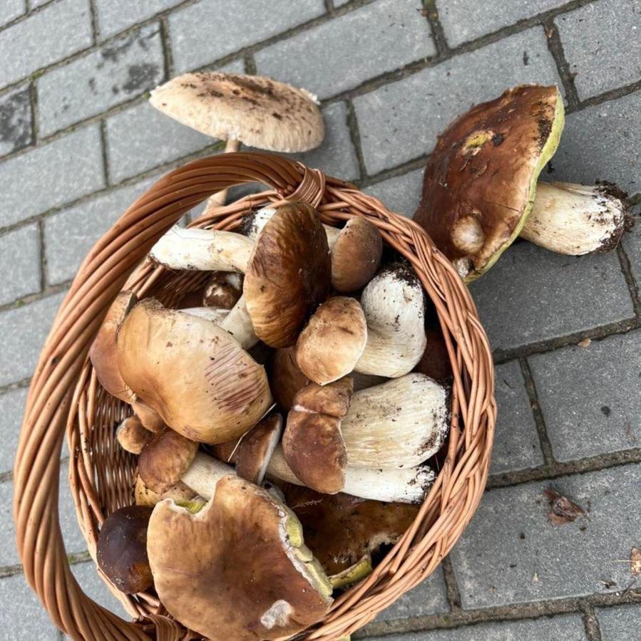 Domek Nad Jeziorem Myślibórz Extérieur photo